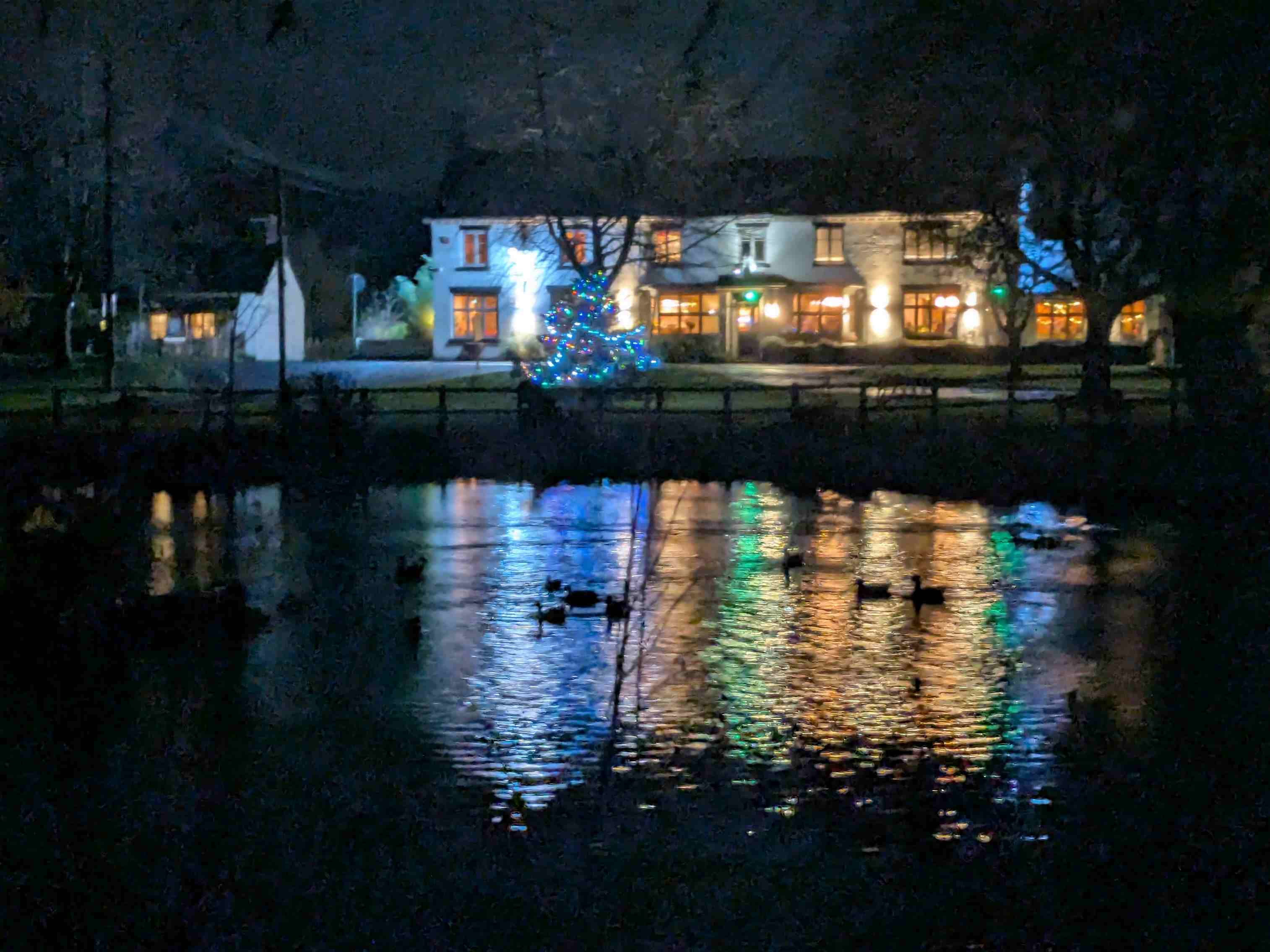 The White Lion November 2025	